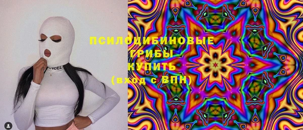 прущие крисы Алексин
