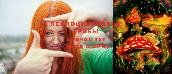 прущие крисы Алексин