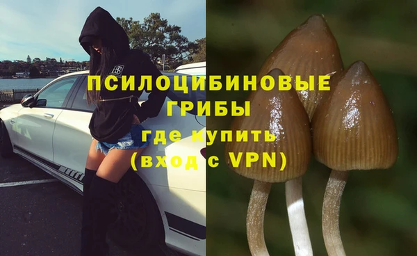шишки Алзамай